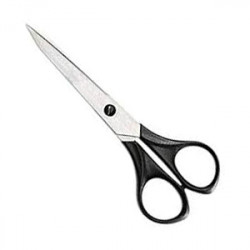 Plastic Handle Scissor