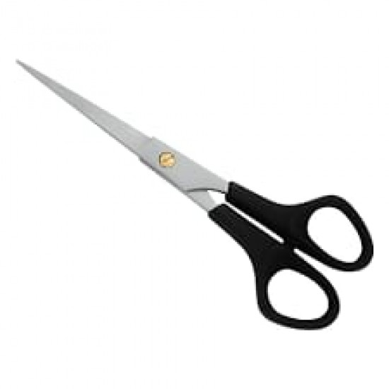 Plastic Handle Scissor