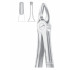 Fig. 3 upper incisors & canines