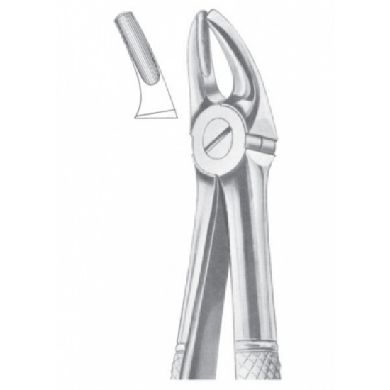 Fig. 7 upper premolars Fig. 7 upper premolars