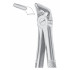 Fig. 8 lower premolars