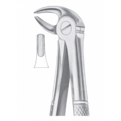 Fig. 13 lower premolars