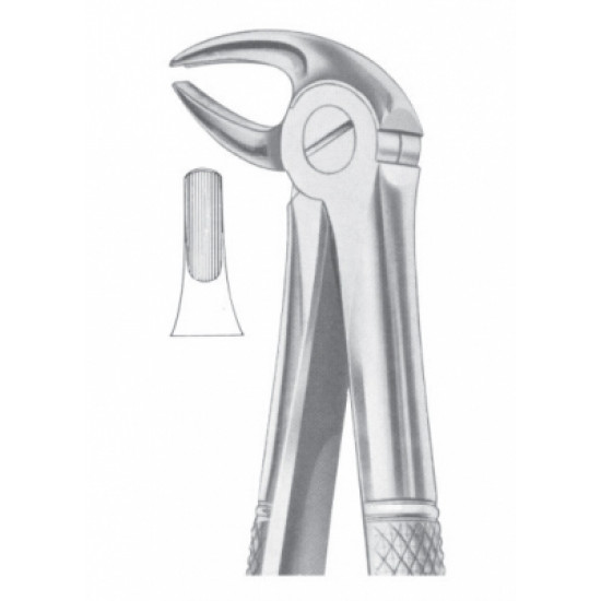 Fig. 13 lower premolars Fig. 13 lower premolars