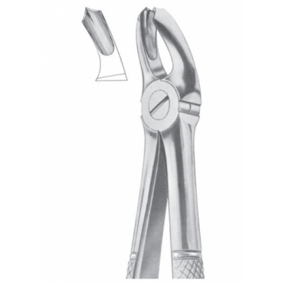 Fig. 18A upper molars Fig. 18A upper molars