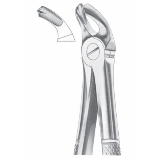 Fig. 21 lower molars Fig. 21 lower molars