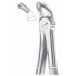 Fig. 21 lower molars