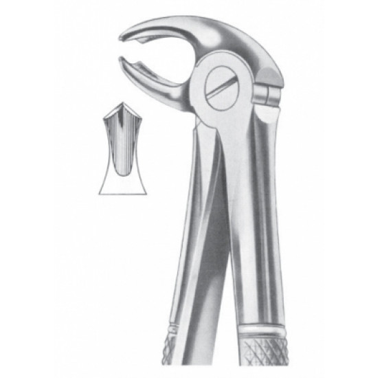 Fig. 22 lower molars