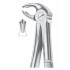 Fig. 22 lower molars