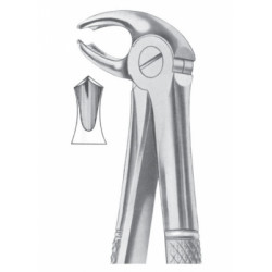 Fig. 22G lower molars