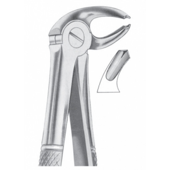 Fig. 23 lower molars right