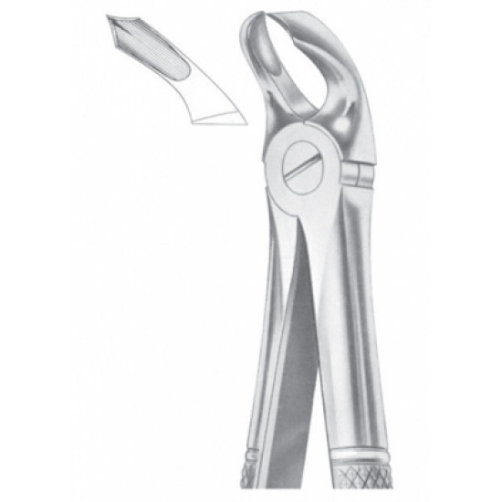 Fig. 32 lower molars Fig. 32 lower molars