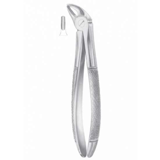 Fig. 38 lower incisors & canines for children