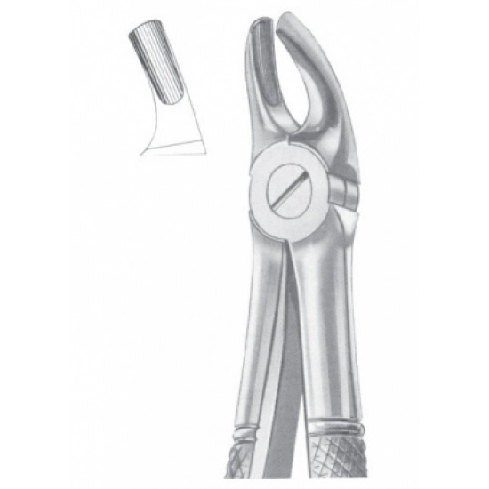 Fig. 39 upper molars for children