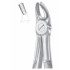 Fig. 39 upper molars for children