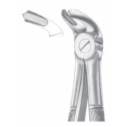 Fig. 40 lower molars for children