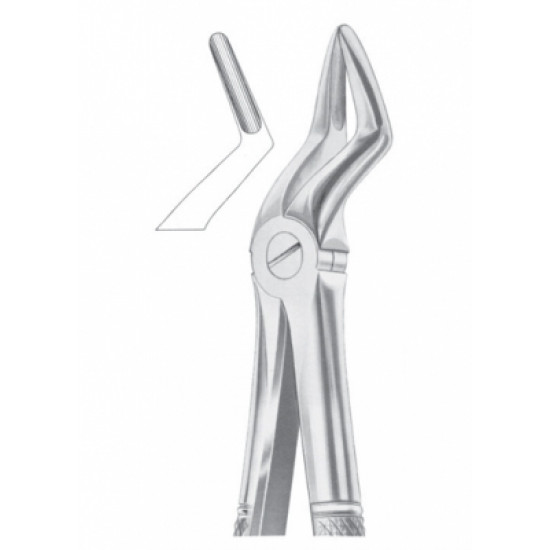 Fig. 52 upper roots