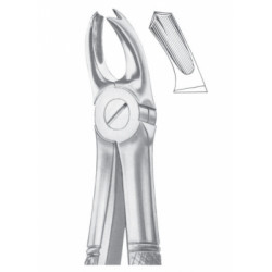 Fig. 65R upper molars right