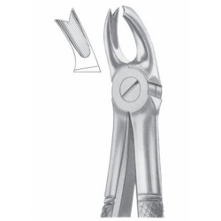 Fig. 65L upper molars left