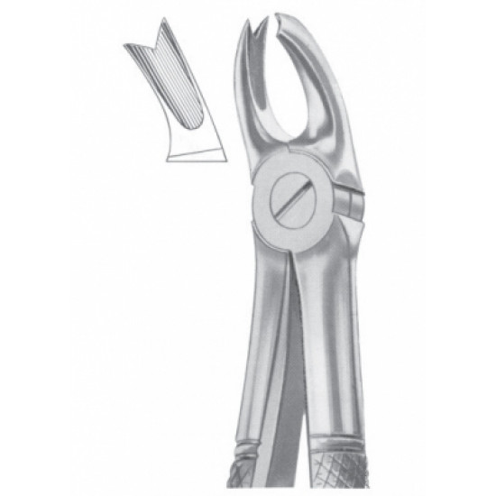 Fig. 65L upper molars left