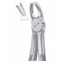 Fig. 65L upper molars left