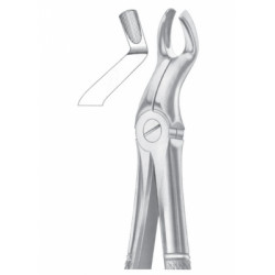 Fig. 67A upper third molars