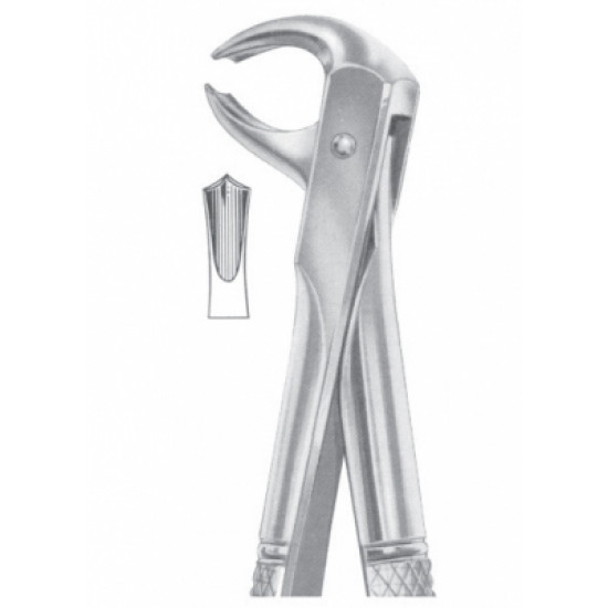 Fig. 73 lower molars Fig. 73 lower molars