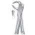 Fig. 73 lower molars