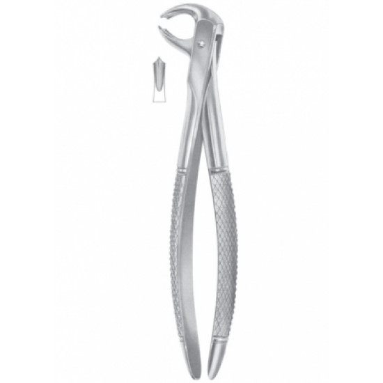 Fig. 73A lower molars Fig. 73A lower molars