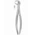 Fig. 73A lower molars