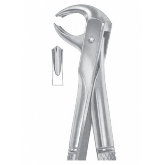 Fig. 73S lower molars Fig. 73S lower molars