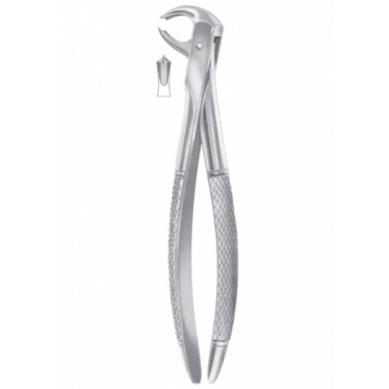 Fig. 73K lower molars for children