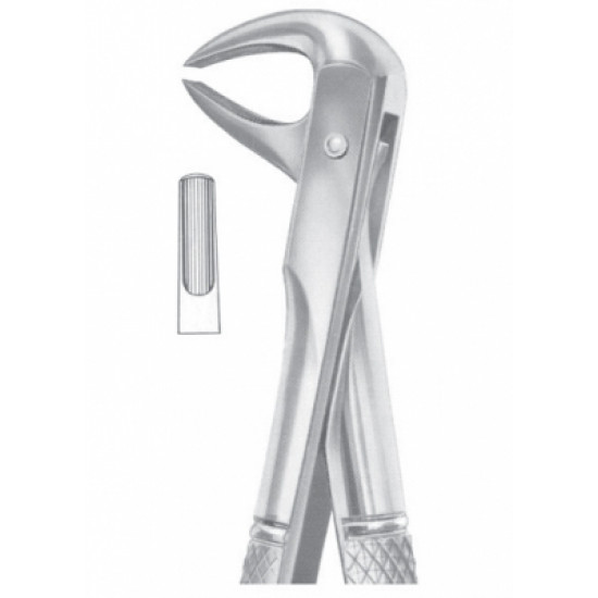 Fig. 75 lower premolars Fig. 75 lower premolars