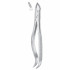 Fig. 76S upper roots