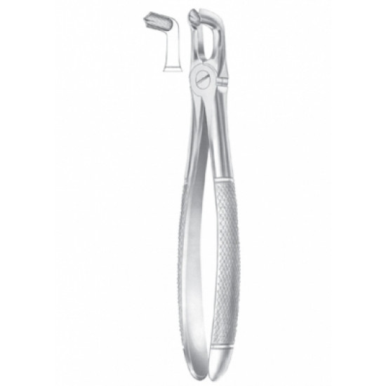 Fig. 79 lower third molars
