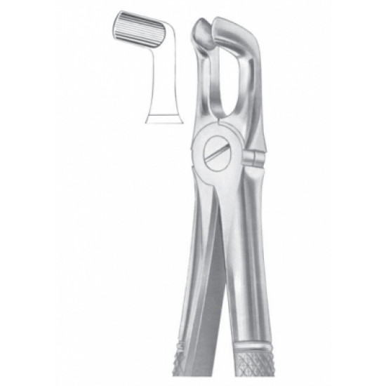 Fig. 79A lower third molars