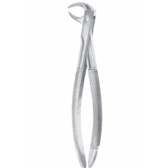 Fig. 86A lower molars Fig. 86A lower molars