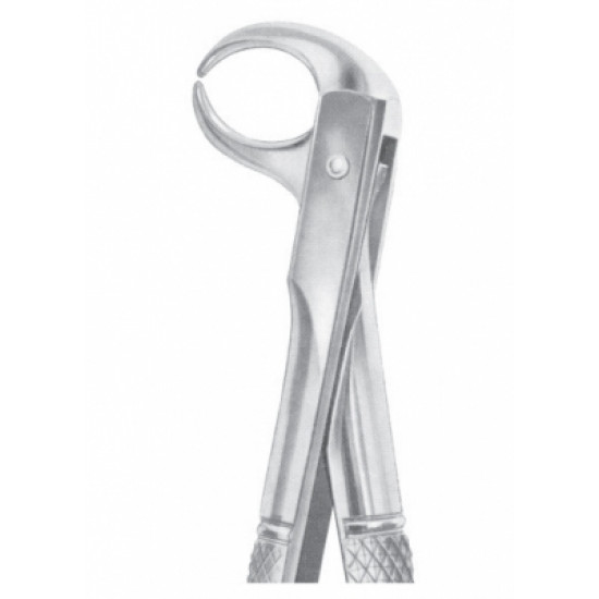 Fig. 86C lower molars Fig. 86C lower molars