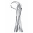Fig. 86C lower molars