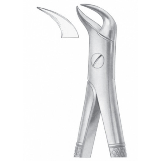 Fig. 87 lower molars Fig. 87 lower molars