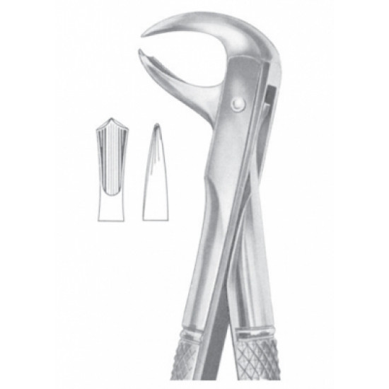 Fig. 99 lower molars Fig. 99 lower molars