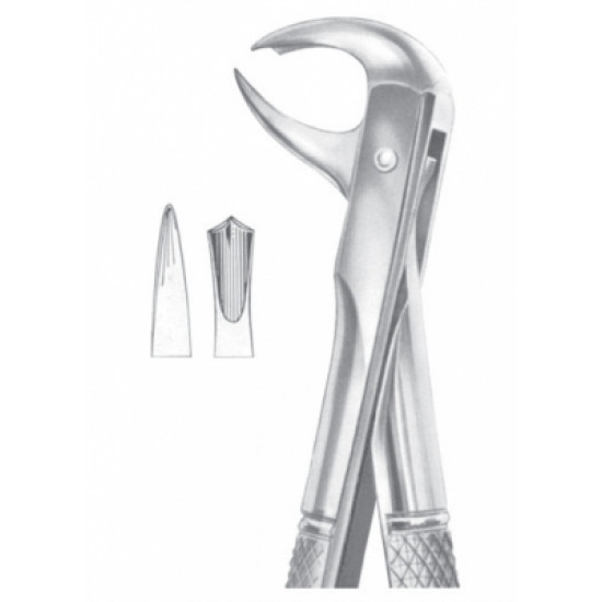 Fig. 99 � lower molars Fig. 99 � lower molars