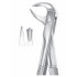 Fig. 99 � lower molars