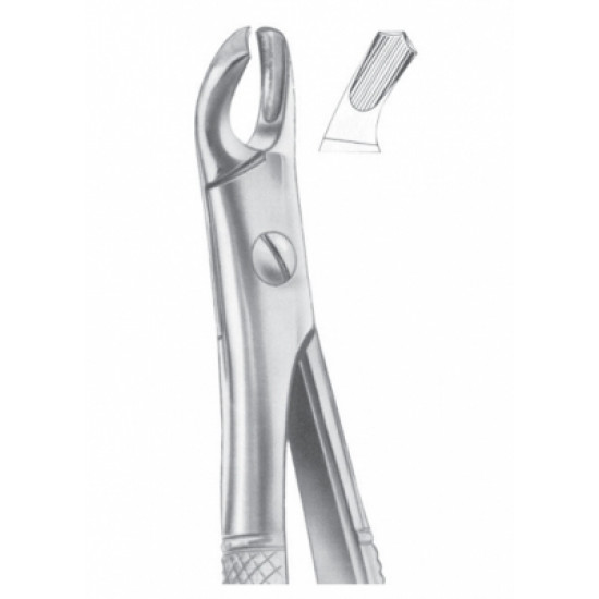 Fig. 102 upper molars right
