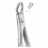 Fig. 102 upper molars right