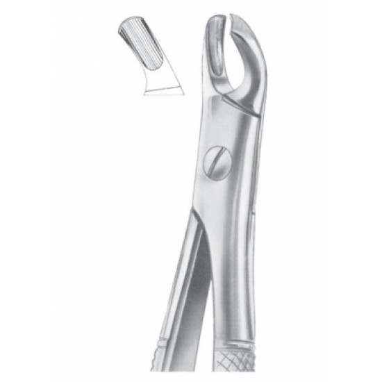 Fig. 103 upper molars left