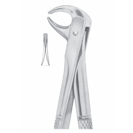 Fig. 105 lower incisors Fig. 105 lower incisors