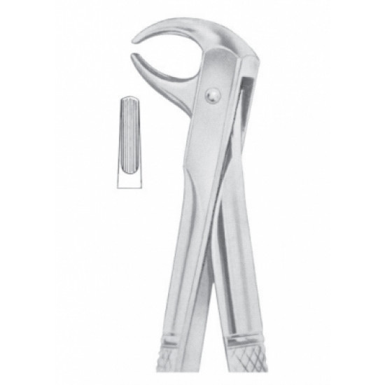 Fig. 106 lower incisors Fig. 106 lower incisors