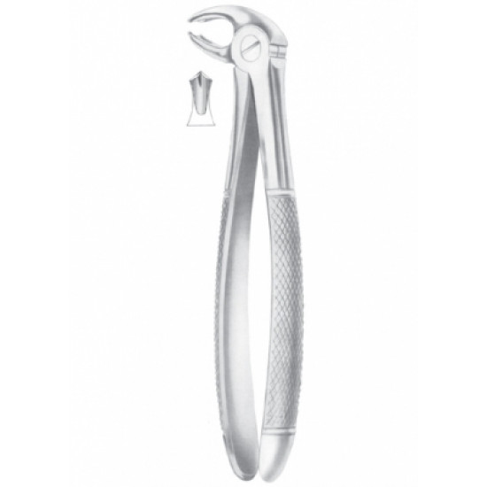 MEAD (MD 4) lower molars MEAD (MD 4) lower molars