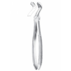 FELSCH (Fig. 210) upper third molars