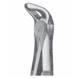 Fig. 12